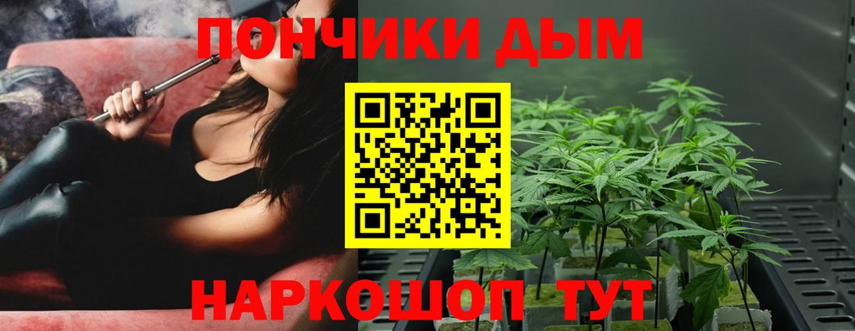 Конопля SATIVA & INDICA Белгород